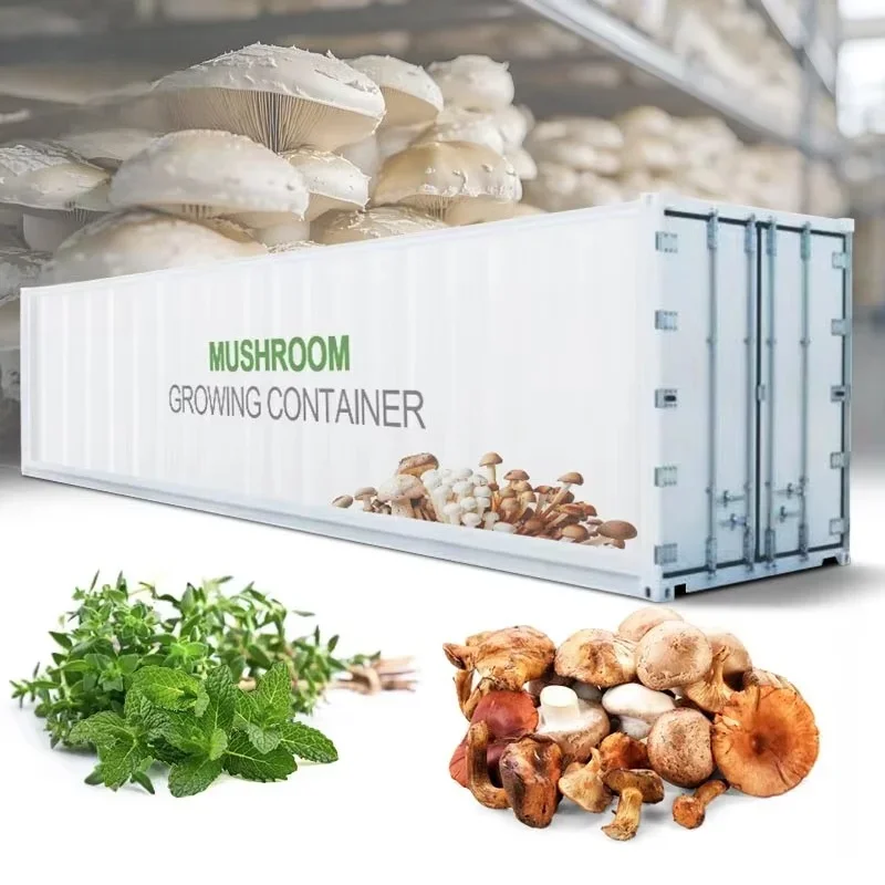 Customized 16ft Containerized Mushroom Growing Room, Smart Aeroponic Farming System Portable Intelligent Greenhouse