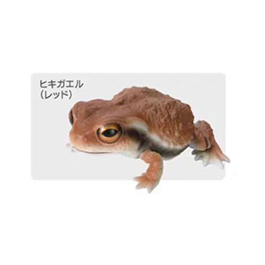 재고 있음 - 반다이 생물학 백과사전: 두꺼비와 개구리 가샤폰 - 사실적인 동물 피규어 세트
