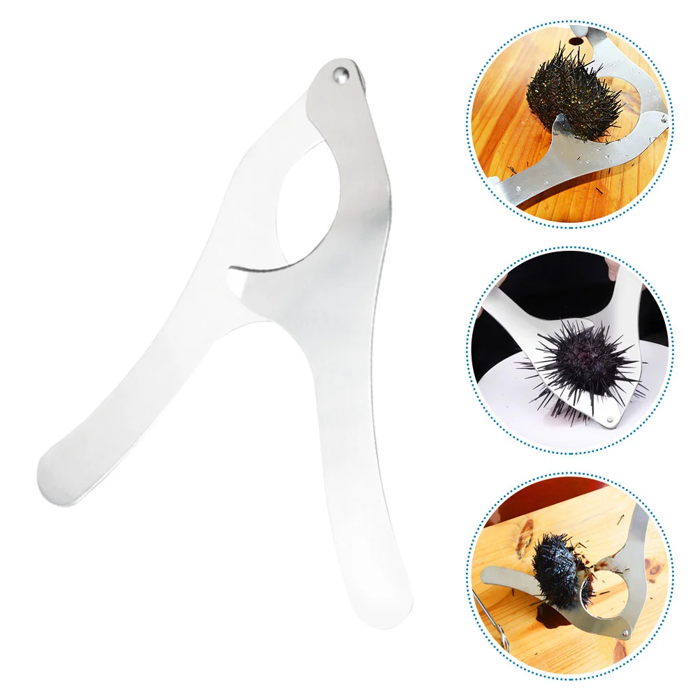 

Sea ​​urchin Scissors Shucking Supplies Manual Tool Stainless Steel Kitchen Opener Seafood