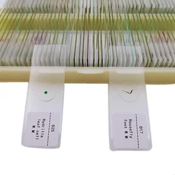 China Factory Supply Education Prepared Microscope Slides for Teaching