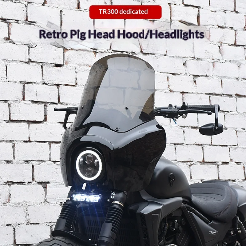 【Premium】For Haojue TR300 modified with DS-style retro “pig’s head” front fairing, LED round headlight assembly