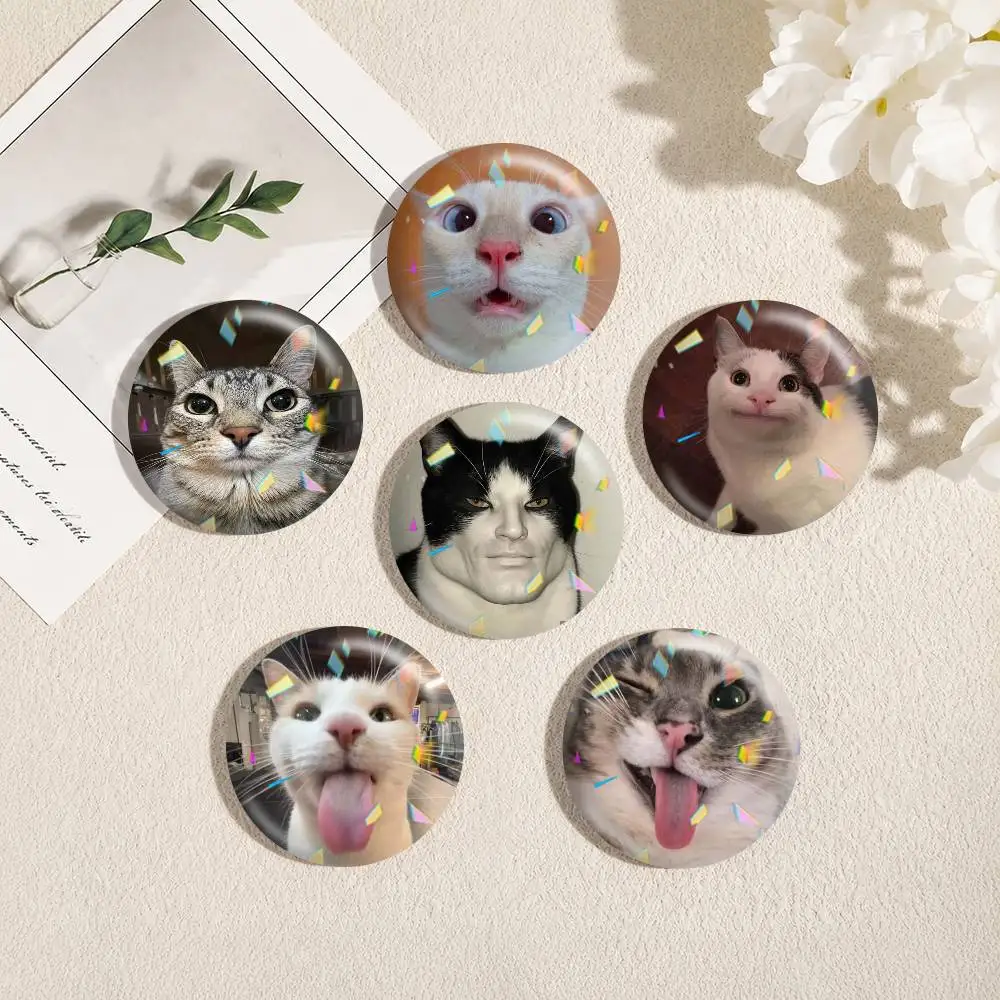 M-Meme Funny Pet Cat  25mm 32mm 44mm 58mm 75mm Brooches Badges Pins for Accessories Gift