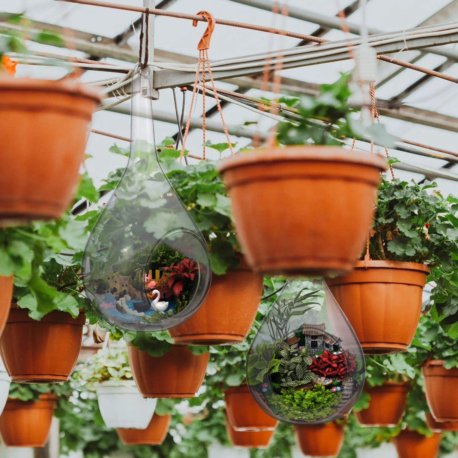 

2Pcs Micro Landscape Bottle Transparent Glass Hanging Vase Hydroponic Flowerpot Wall Hanging Air Plant Holder Hydroponic Vase