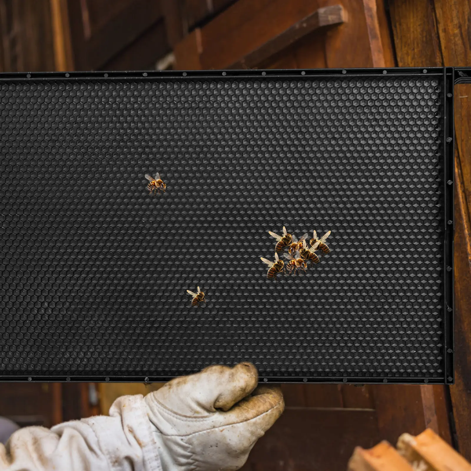 Plastic Nest Foundation Beehive Frame Black Integrated Design Waterproof ABS Material Honey Inspection Beekeeping Equipment