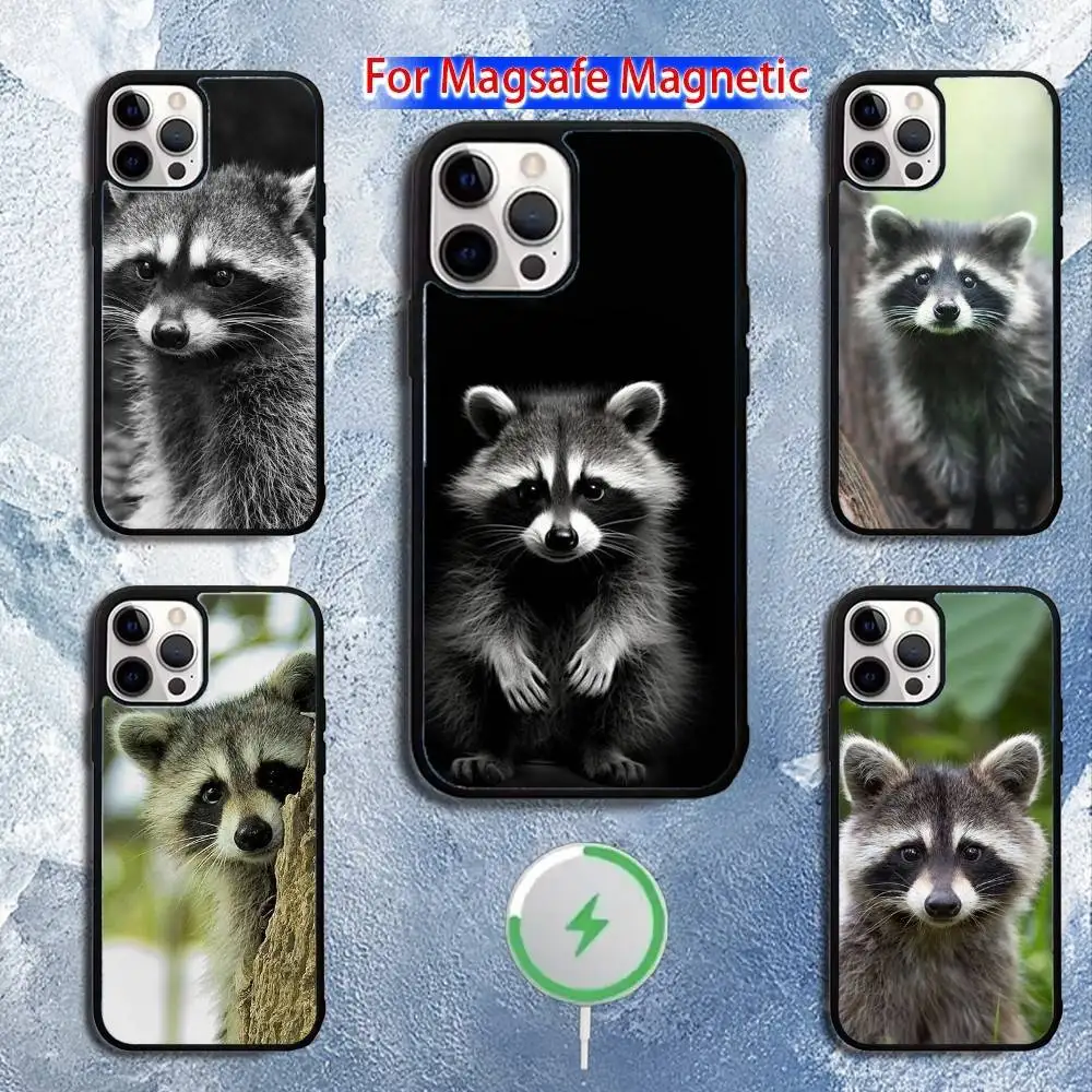 

C-Cute A-Animal R-RaccoonS Phone Case For iPhone 16,15,14,13,12,11,Pro,Max,Plus,Mini,Magsafe,Magnetic Wireless Charging Case