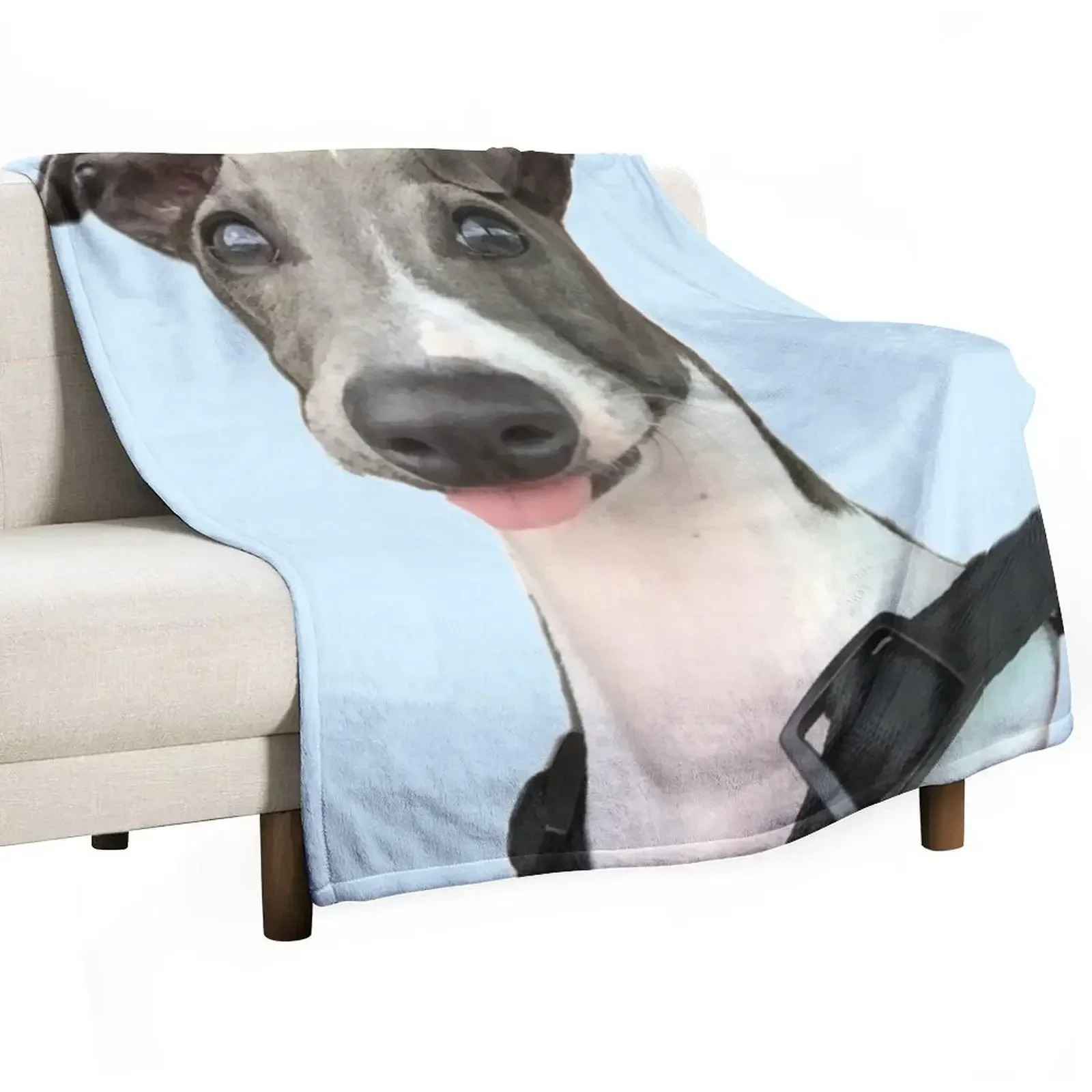 

Italian Greyhound Throw Blanket sofa bed For Decorative Sofa wednesday Blankets