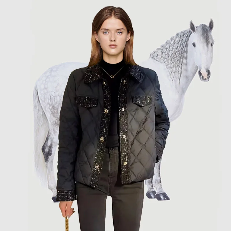 

Turn Down Collar Duck Down Jacket Women Korean Style Winter Down Coat Casual Jacket Woman куртка женская с капюшоном JK-196