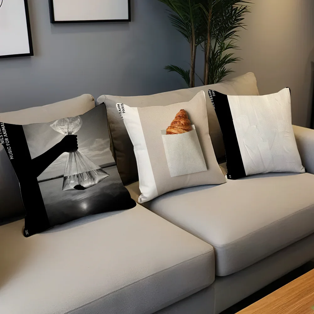 Nils Frahm Paris Singer Album Cover cushion cover Pillow Case Cushion Room Bedroom Sofa Living Backrest Car Square Headboard