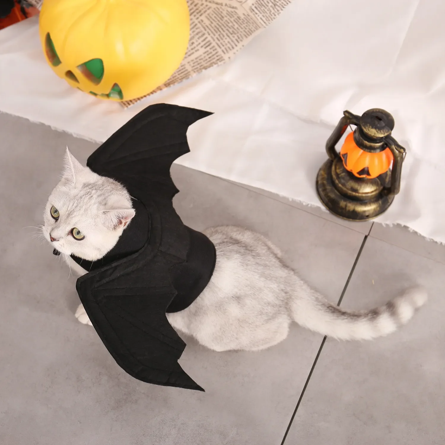 

Pet Clothes Halloween Bat Wings Costume For Dogs Cat Clothing Christmas Pets Dog Coat Jackets Chihuahua Transform Costumes