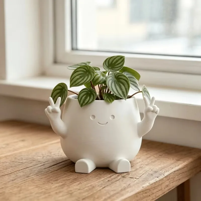 3D Printed Office Desktop Mini Cute Succulent Planter Creative Garden Balcony Landscape Pot Home Decor  Use