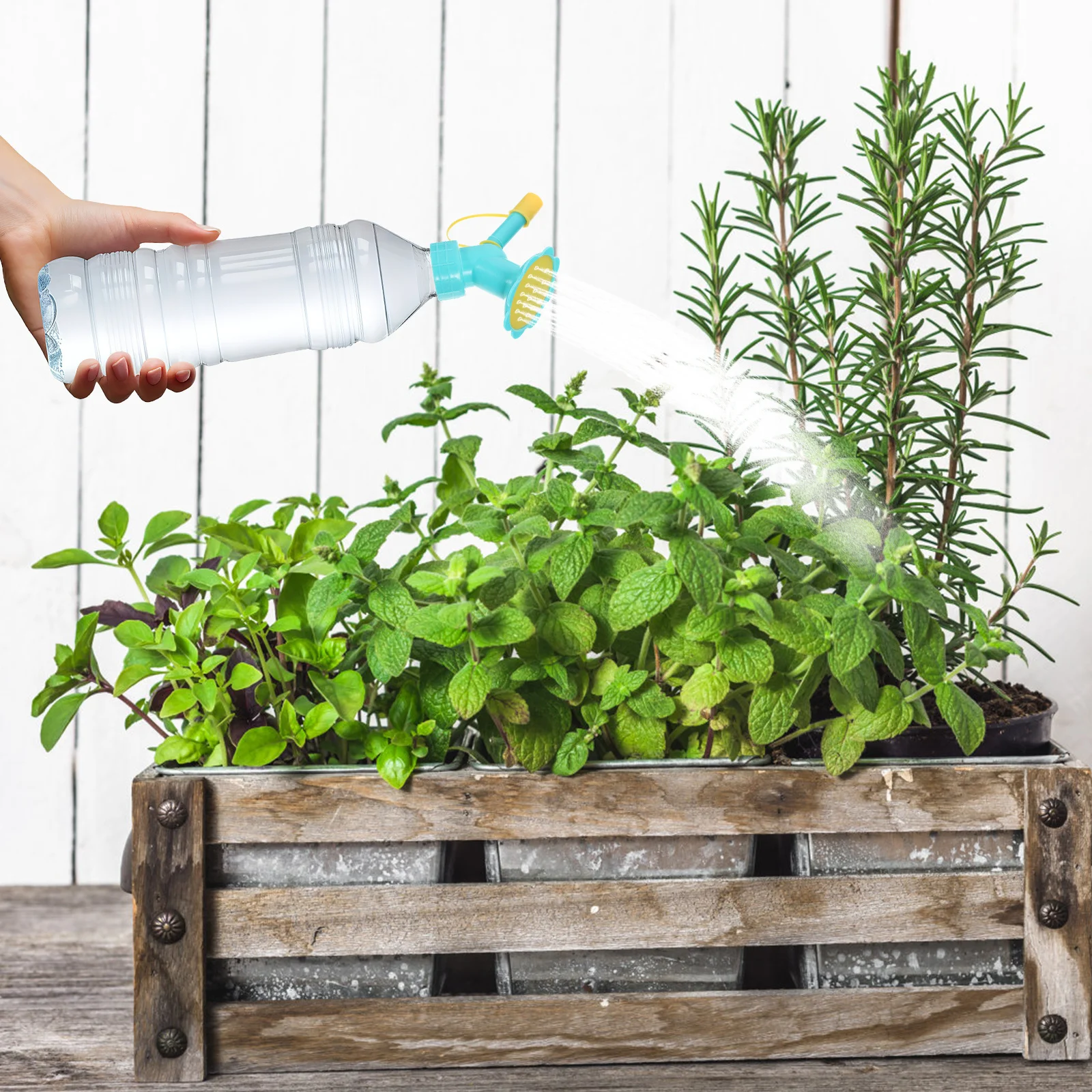 

10Pcs Watering Spray Heads Unique Design Bottle Sprinkler Plant Watering Spouts for Indoor Use Sprinkler for Bottle