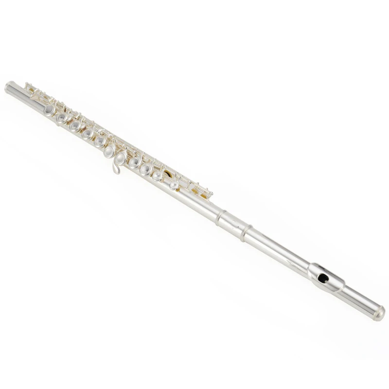 16 Closed Hole Nickel Plated C Key Flute Woodwind Instrument With Carry Case For Student Beginner Musical Learning