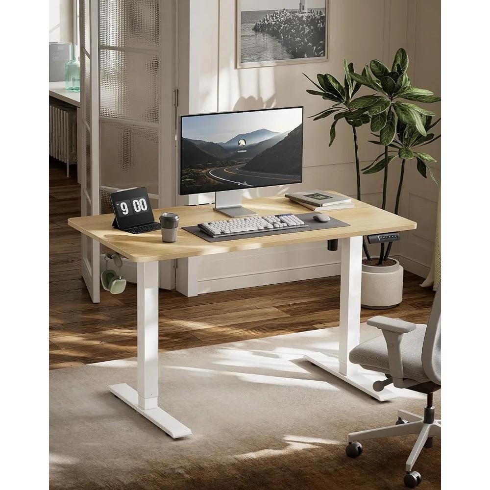 Electric Standing Desk with Sedentary Reminder, 48 * 24 Inch Standing Desk Adjustable Height, Stand up Desk for Home