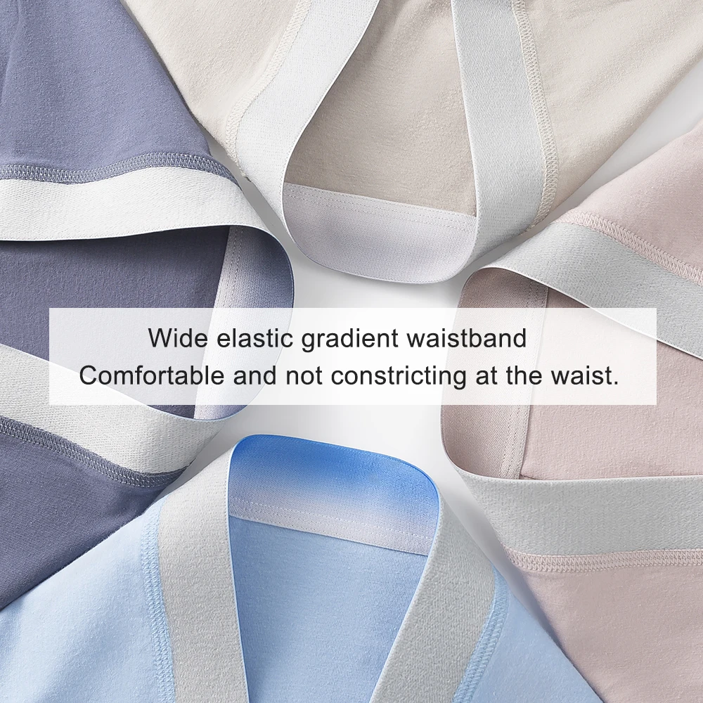 5 Pack Plus Size Men's Cotton Boxers Wide Gradient Waist 10A Antibacterial Breathable Underwear view 5