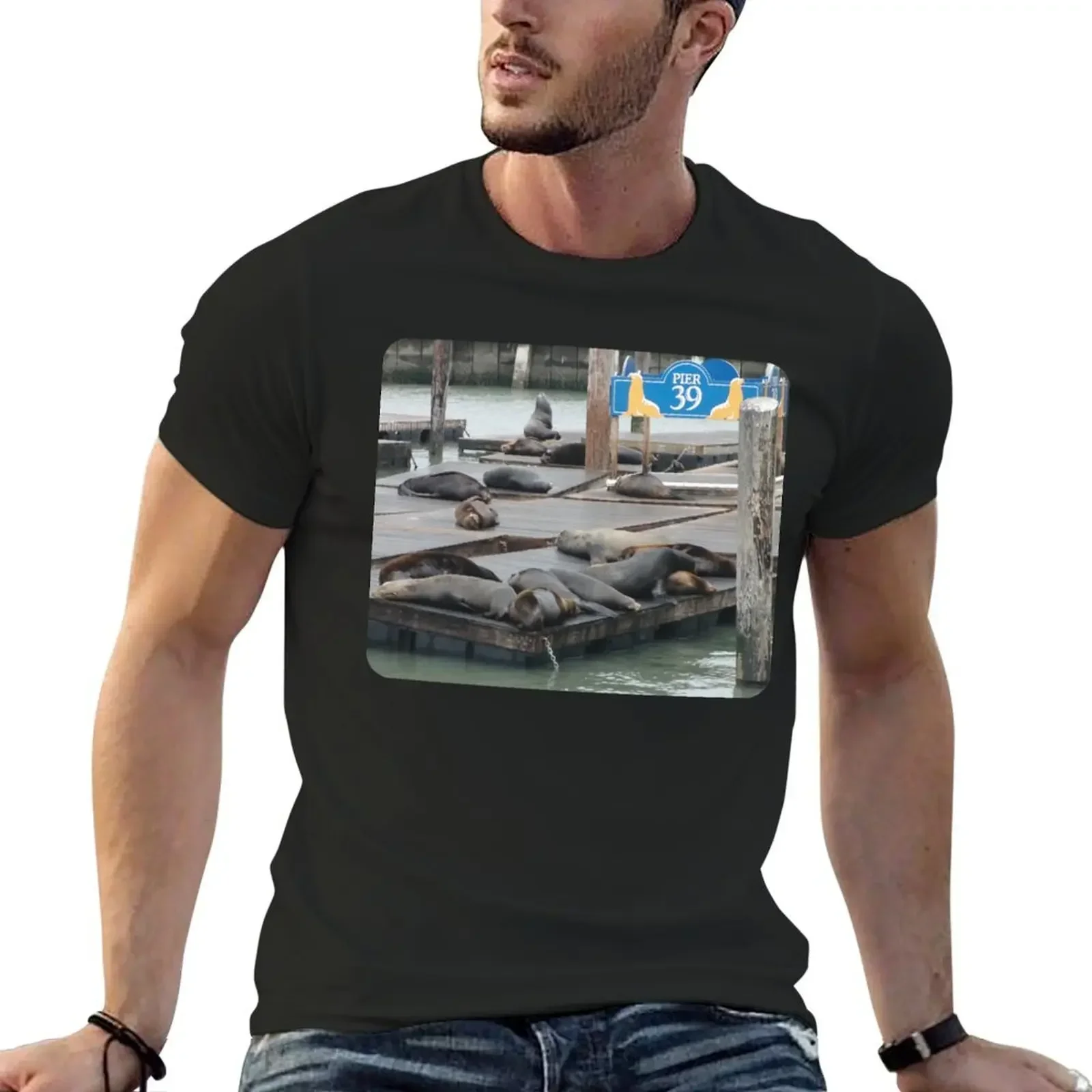 Pier 39 Sea Lions T-Shirt vintage clothes graphic shirts compression shirt men