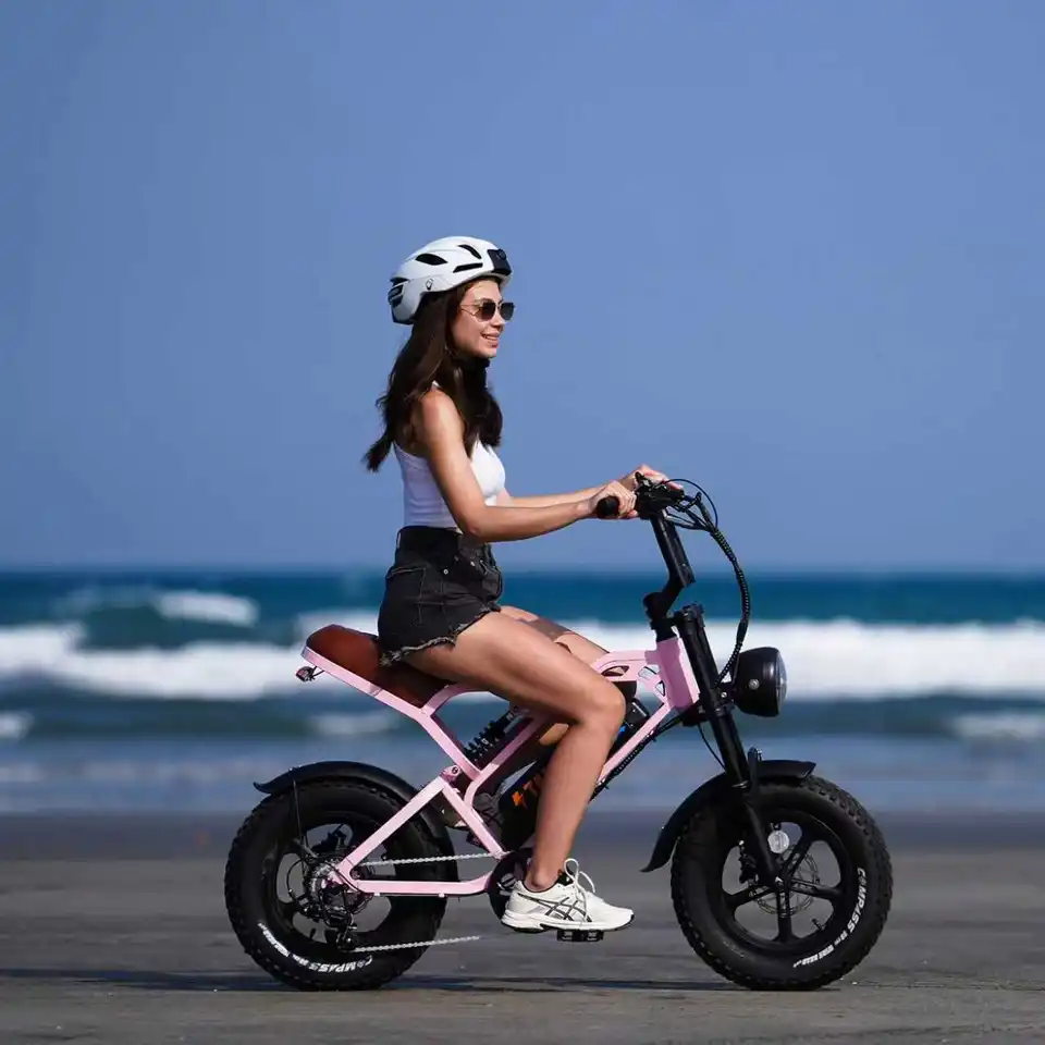 Ebike Full Suspension Children's E Offroad Dirt Fat Tire Cross Bike Kids Electric Mini Portable Bicycle image 6