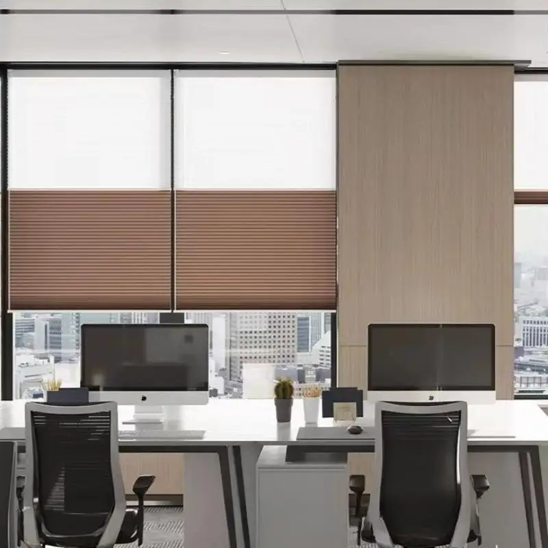 Top Bottom Up Honeycomb Shades - Day & Night Dual Layers for Adjustable Light & Privacy. Perfect Blackout & Insulation. Easy Ins