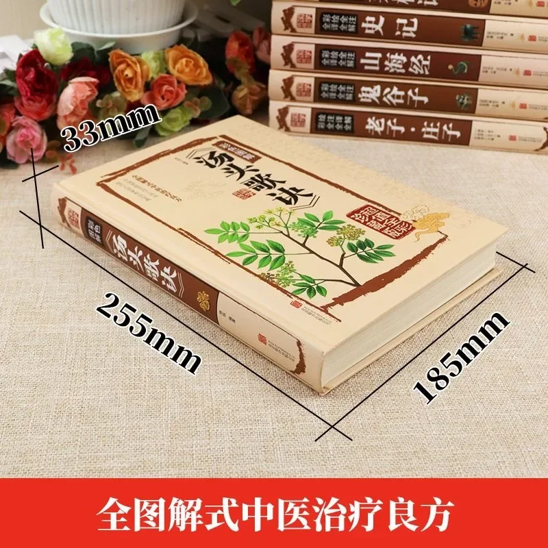 Graphical Soup Song Jue Self-study Traditional Chinese Medicine Health Encyclopedia Introduction Basic Theory Practical Books