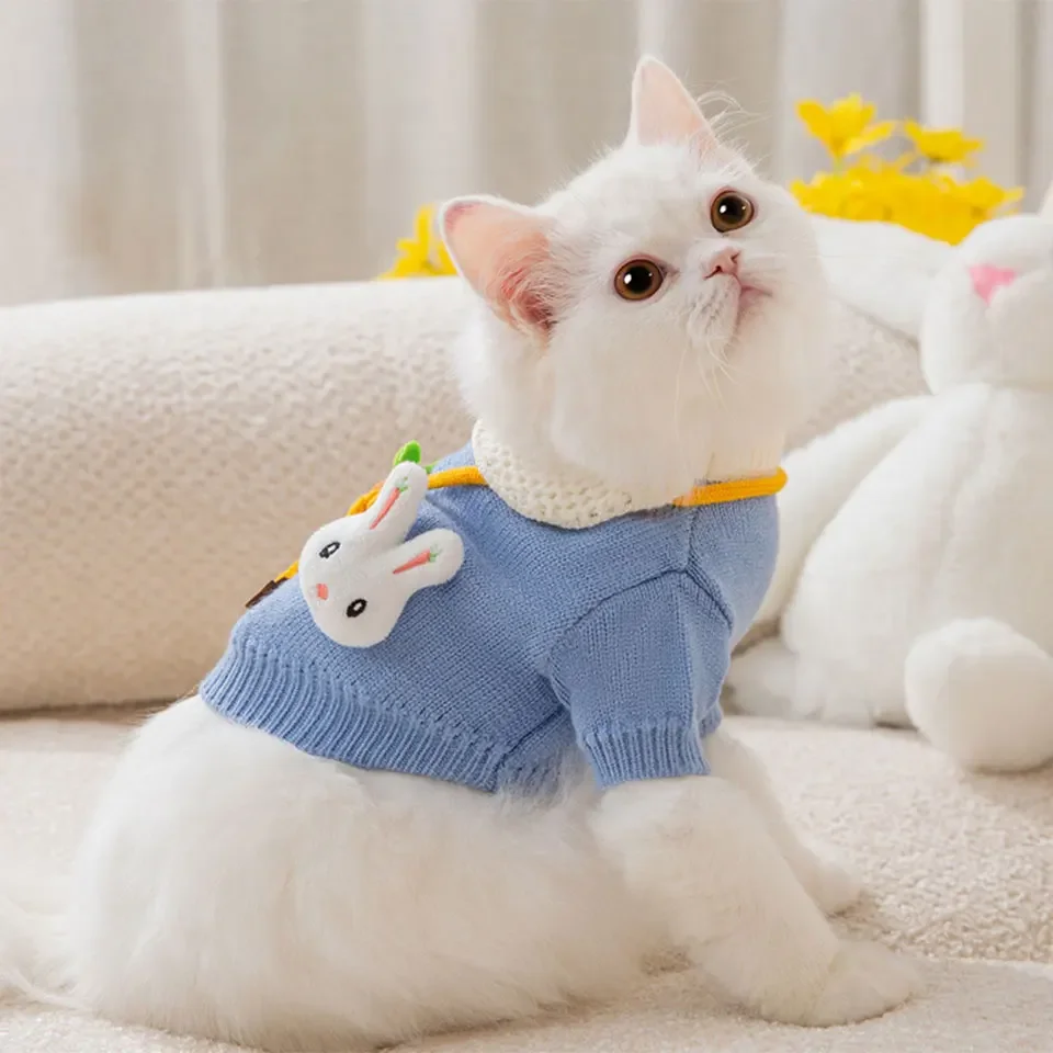 Cat Sweater Cute Rabbit Pocket Carrot Autumn Winter Cat Costume Cartoon Knitting Clothing Pet Pullover Warm Pet Clothes For Dog