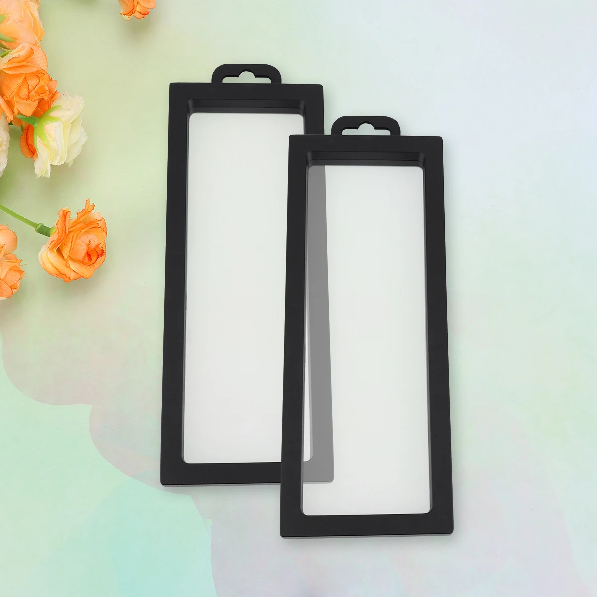 

2 Pcs Necklace Transparent Display Stand Storage Case for Jewelry Clear Frame Floating Holder Earrings Black PE