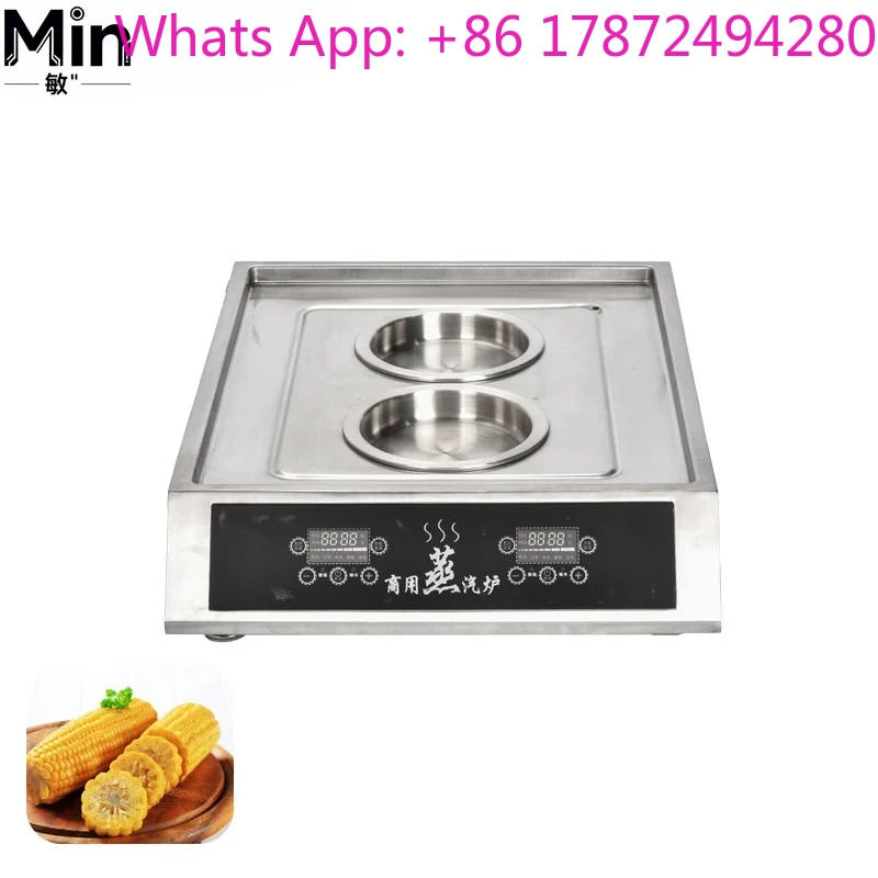 Electric Stainless Steel Steamer for Rice Noodle Rolls, Steamed Buns & Vermicelli Roll Steaming