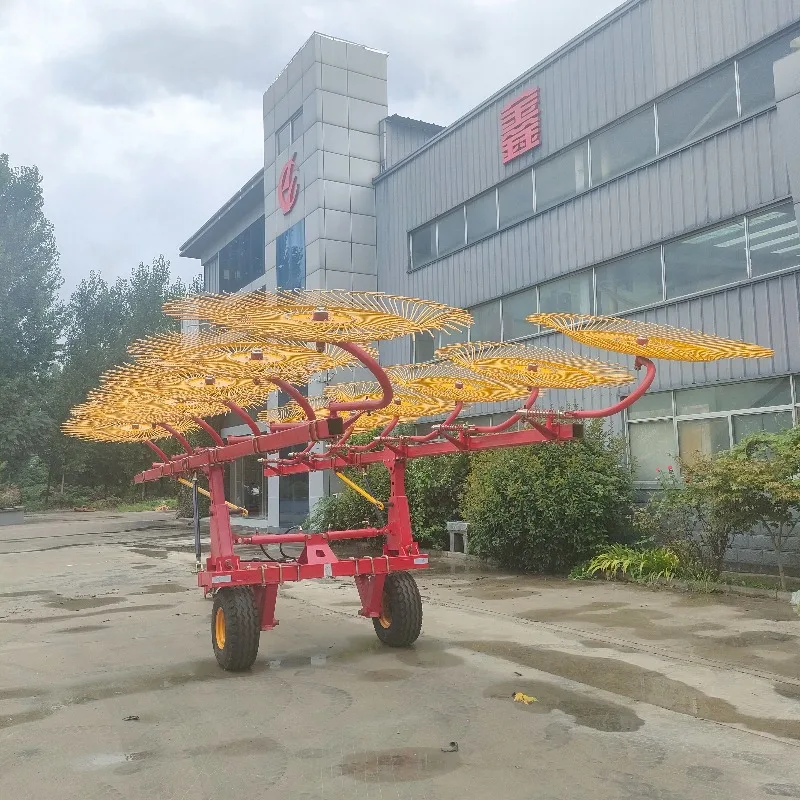 Customized Tractor Driven Hay Rake Side Delivery Grass Rake Agricultural Farm Equipment