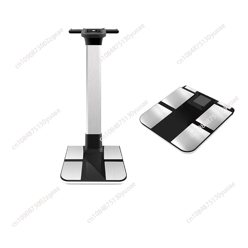 

I Body Composition Analyzer Bodecoder Clinical Body Composition Analyzer