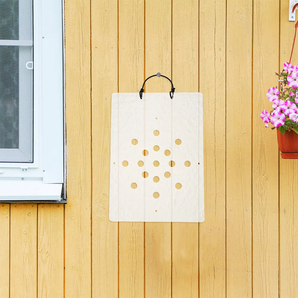 

Transparent Acrylic Staghorn Fern Mounting Board Wall Planter Stylish Durable Indoor Outdoor Home Decor Small Wall Decor