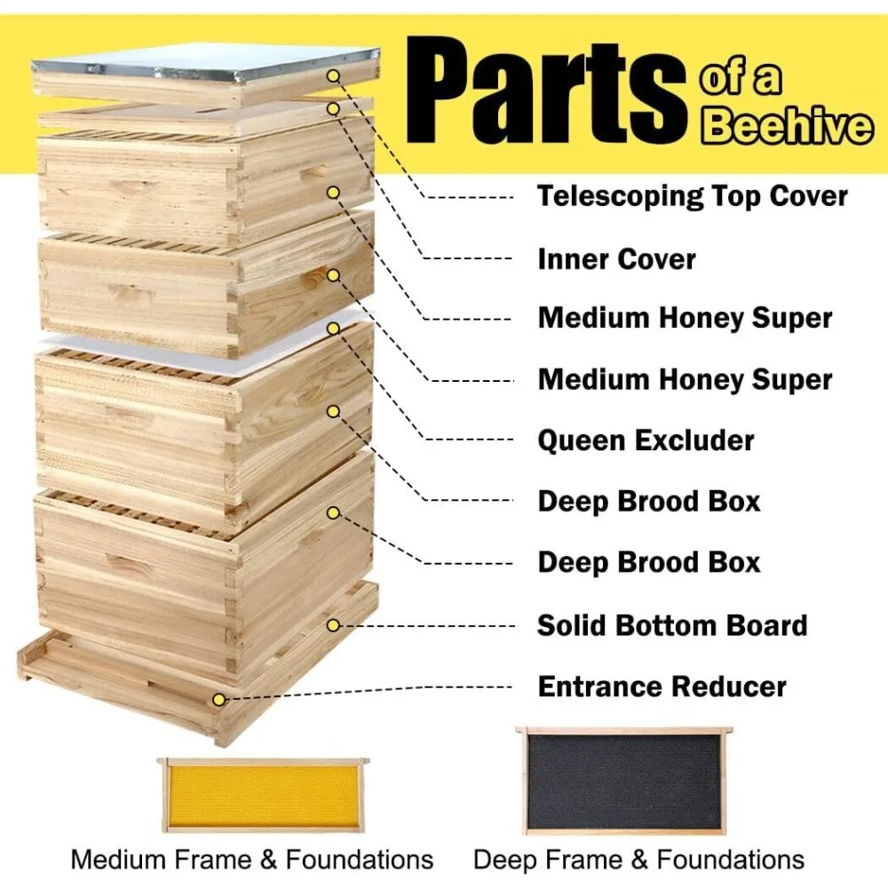 BeeCastle 10-Frame Complete Bee Hives and Supplies Starter Kit, Beehives for Beginners with Beehive Frames and Waxed Foundations