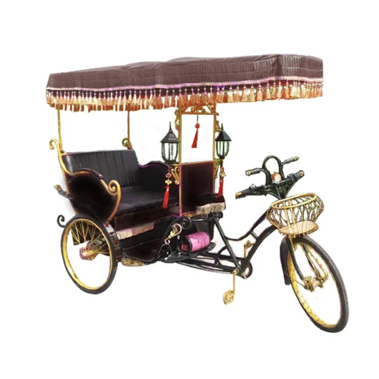 Tourist passenger electric pedicab with good price