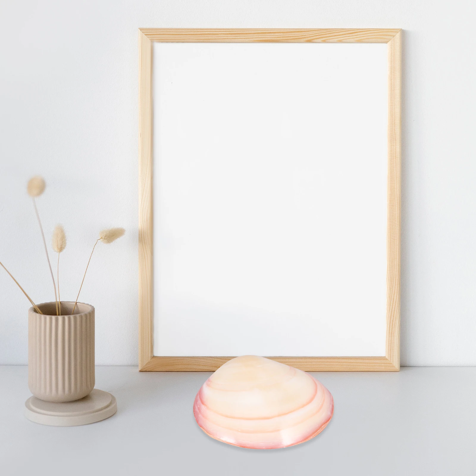 

Delicate Shell Jewelry Container Mini Natural Seashell Trinket Box for Ring Earring Storage Dressing Table Decor Small Gift Idea