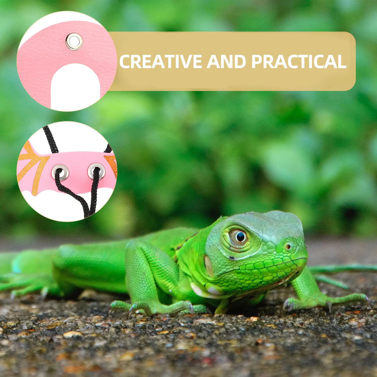 

5Pcs Reptile Lizard Leash Adjustable Harness Wing Durable Quality Pet Walking Relaxing Days Reptile Harness