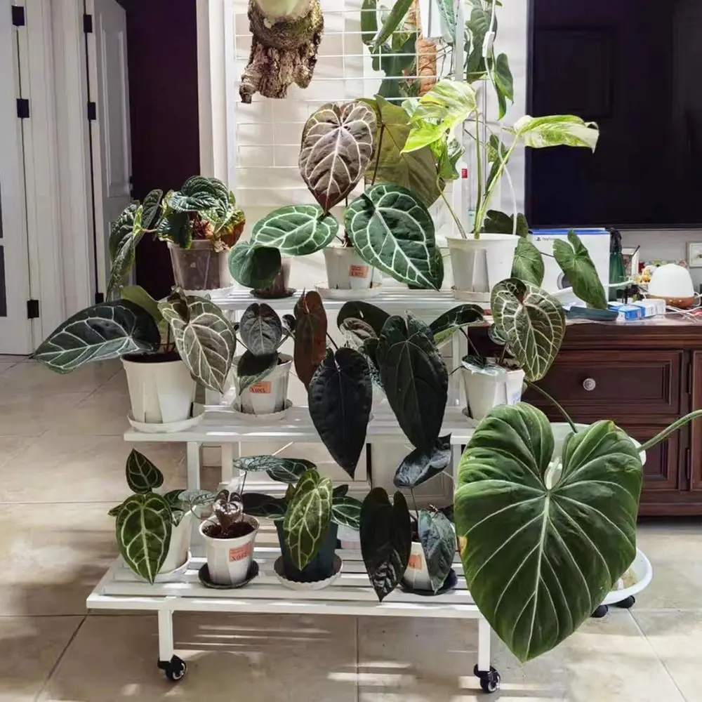 

3-уровневая металлическая подставка для растений с лестницей, угловой держатель для цветочного горшка, органайзер с местом для хранения, 90x44,4x178,5 см