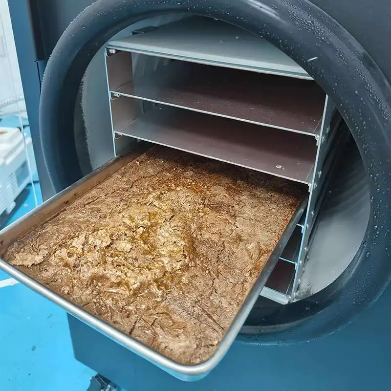 Freeze Dryer Automatic 6 Tray Freeze Hine Home Use Lyophilizer Dryer With Gear Pump For Food Processing Competitive Vacuum Price