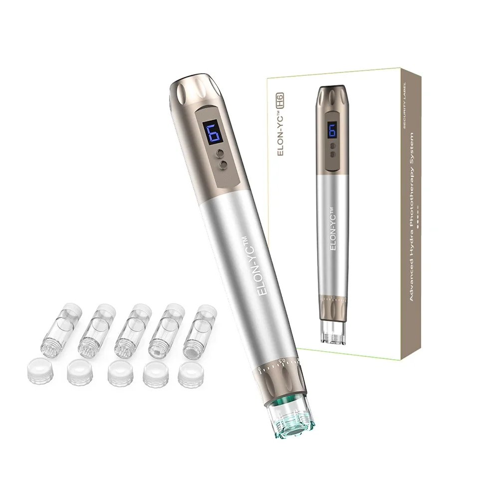 Stylo à micro-aiguilles professionnel sans fil Hydra H6 avec 5 pièces, adhérence des rides grossières, stylo Derma, appareil de beauté pour les