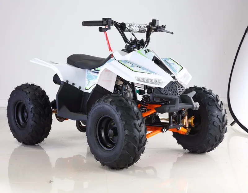 Factory Direct 125cc 4 Wheeler ATV Teenagers Children CE Certified Automatic Chain Drive Transmission Customizable 2WD