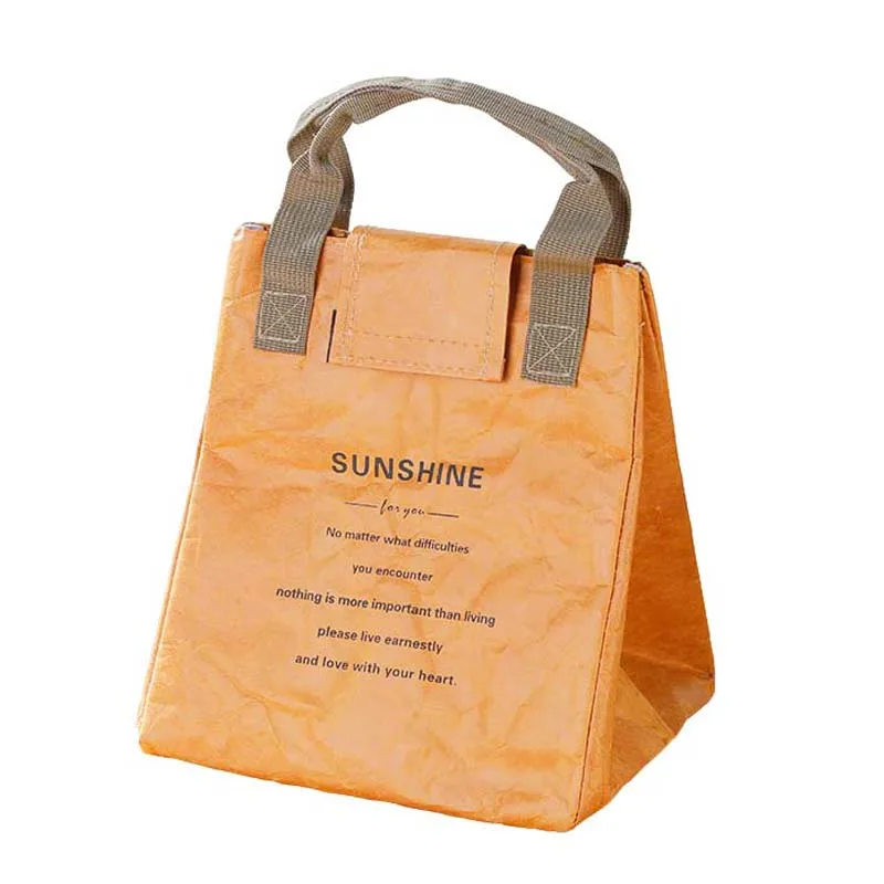 Dupont Kraft Paper Lunch Bag Insulated Reusable Pleated Tote Eco-Friendly Washable Waterproof Thermal Cooler for Work Picnic