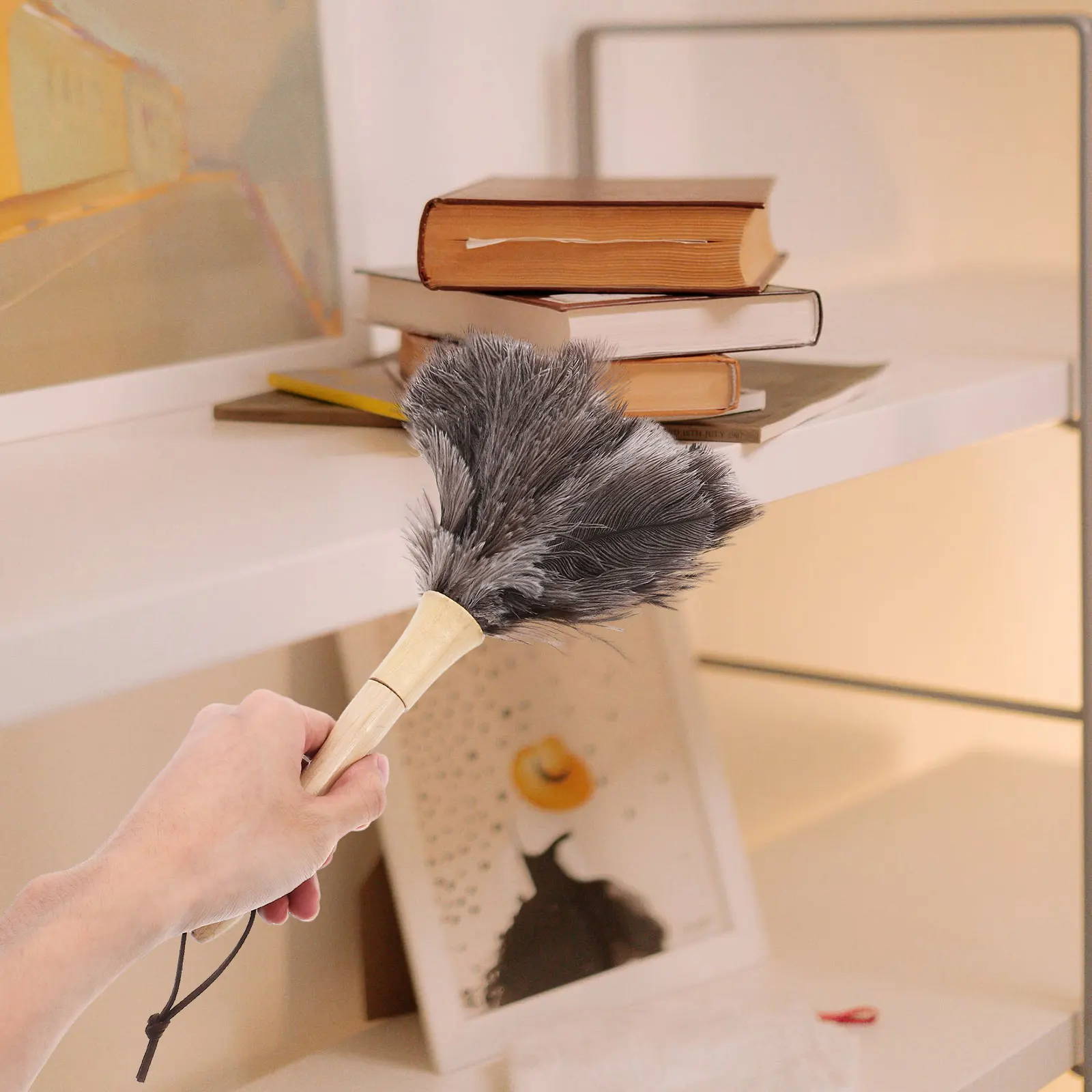 

Ostrich H Dusting Tool for Home Office Cleaning Car Dusting Brush Reusable Plume Long H