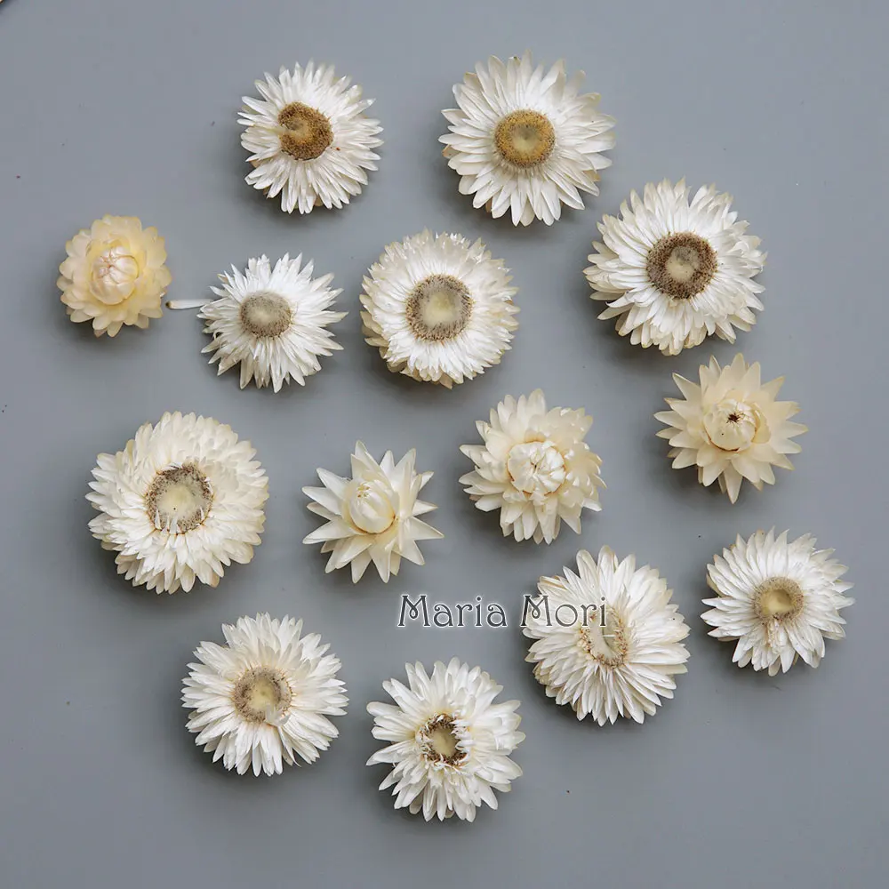 Natural Dried Colorful Chrysanthemum Wreath Handmade Hair Accessories DIY Material For Resin Products Aromatherapy Candles