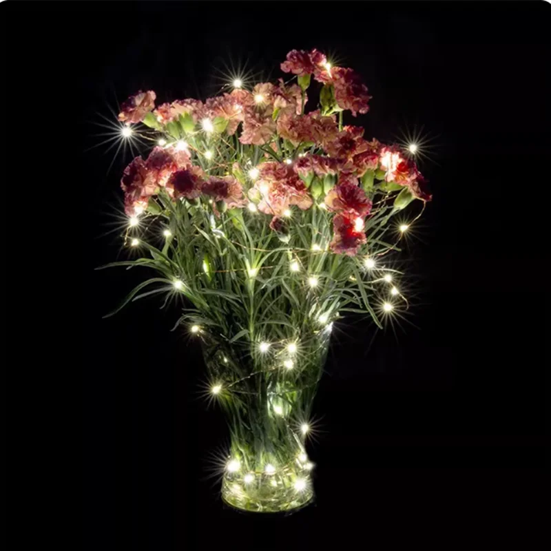 5-Meter LED String Lights with Battery Box,  Warm light Waterproof Colorful Christmas Lights, Ambient Decorative Lighting