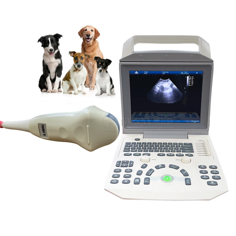 SYA-150_Vet Portable Black And White Ultrasound Medical Image For Pet Animal Veterinary Ultrasound Scanner