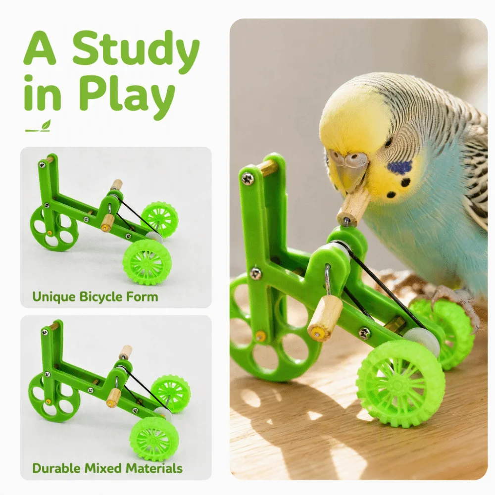 Interesting Mini Size Bird Training Plastic Washable Bird Bike Bike Shape Durable Bird Game Supplies Birds