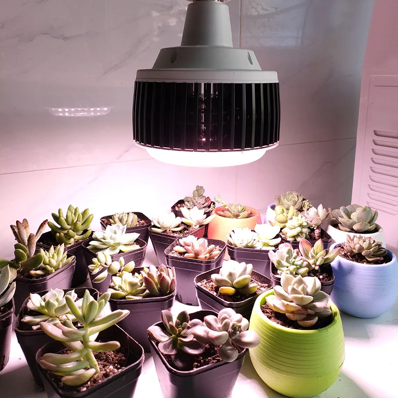 

LED Fin Plant Light Succulent Fill Light Flower Potted Seedling Plant High Power Fill Light