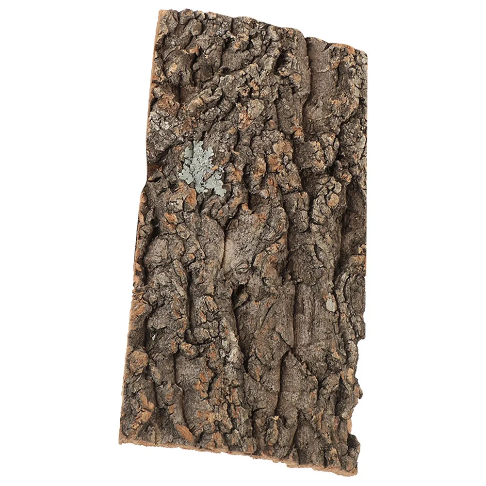 

Bark Decoration Fish Tank Background Accessories Delicate Aquarium Wood Reptile Cork Natural Turtle Platform Terrarium Decor Pet