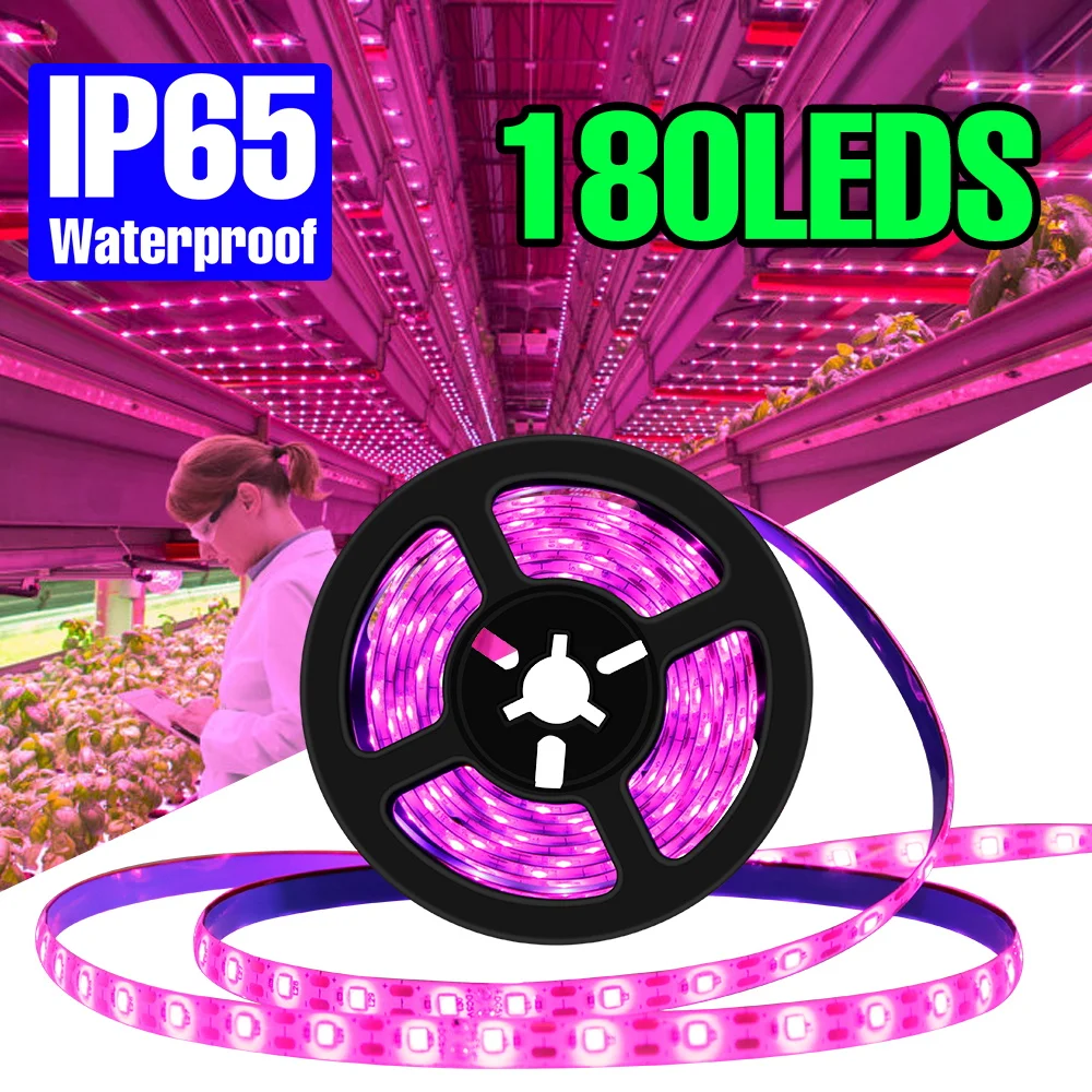 

Светодиодная лента полного спектра для выращивания растений, водонепроницаемая комнатная коробка для выращивания цветов в горшках, выращивание растений, гидропоника, заполняющее освещение USB DC5V