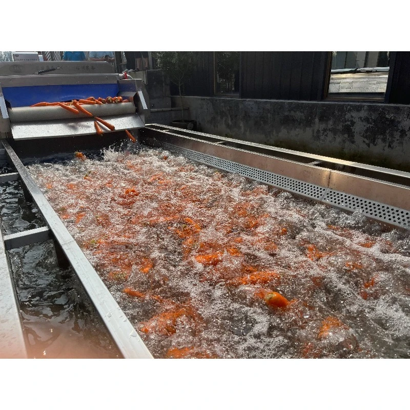 Citrus Sorting Machine Fruit and Vegetable Washing Sorting Equipment
