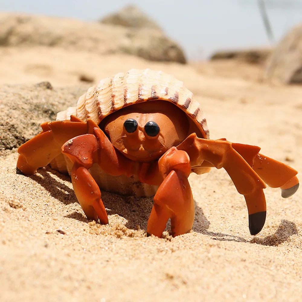 New Children's Simulation Solid Marine Plastic Seabed World Animal Model Hermit Crab Marine Crab Toys Handmade Decorations Gifts