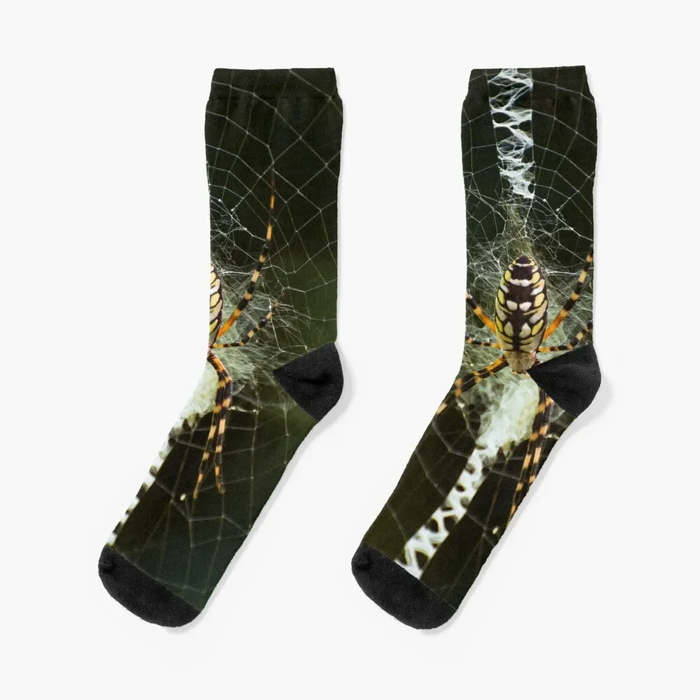 Yellow garden spider Socks winter gifts hockey golf Boy Socks Women's