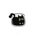 A3