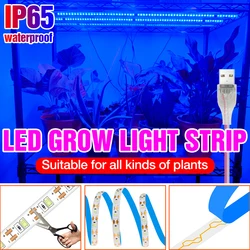 Dc 5v led luz da planta usb crescer luz de tira hidroponia phytolamp estufa tenda crescimento lâmpada para sementes de flores cultivo interior